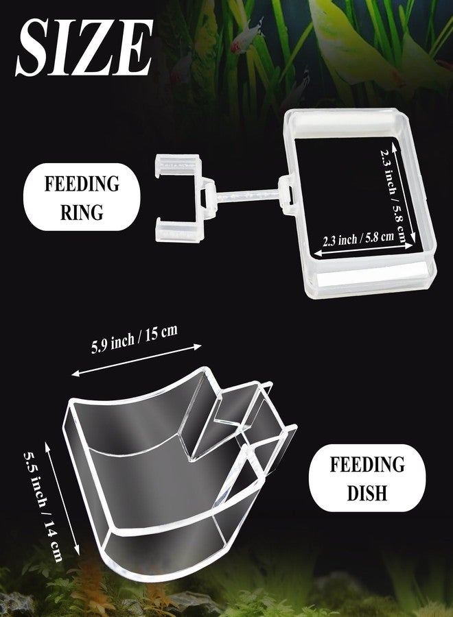 Niuohoy Shrimp Feeder Tube and Dish Set - Aquarium Fish Feeder with Feeding Ring and Cleaning Brush - Prevent Food Scattering - Image 4